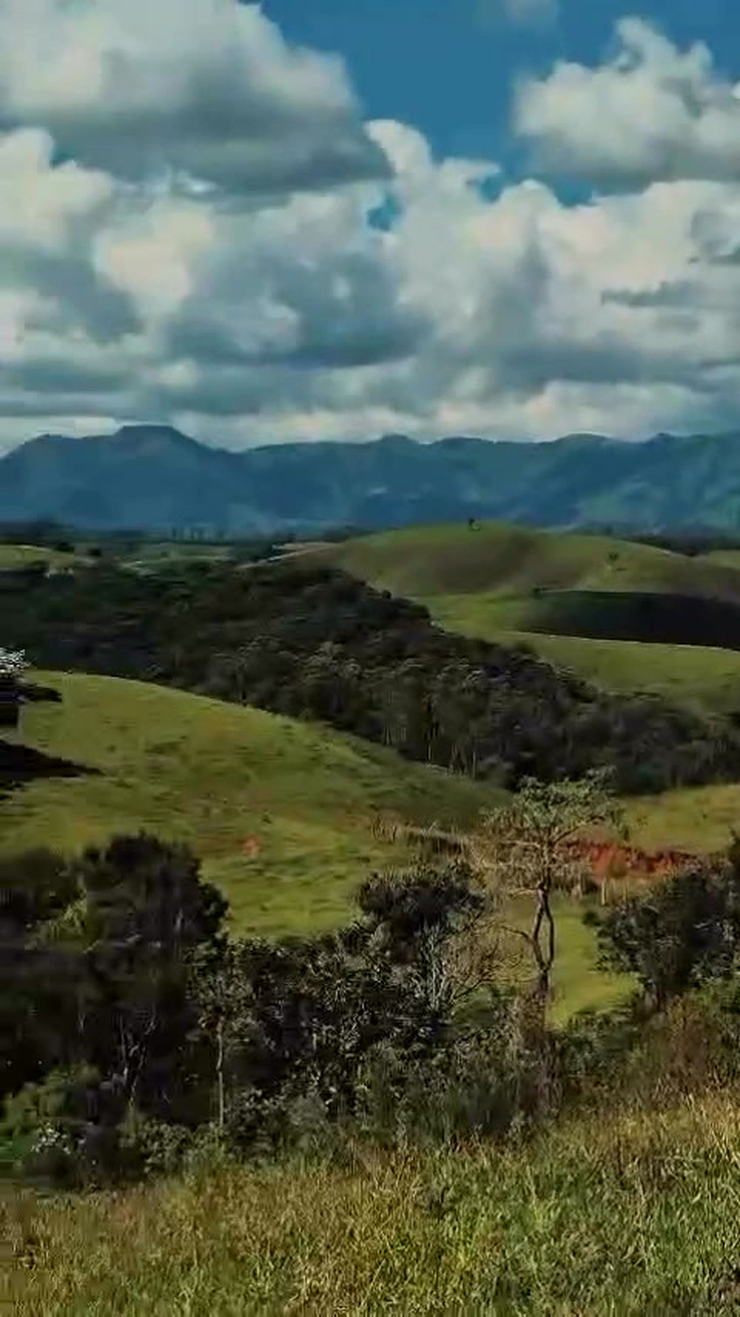 Fazenda 50 Alqueires
